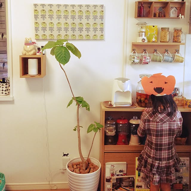 masamasaさんの実例写真