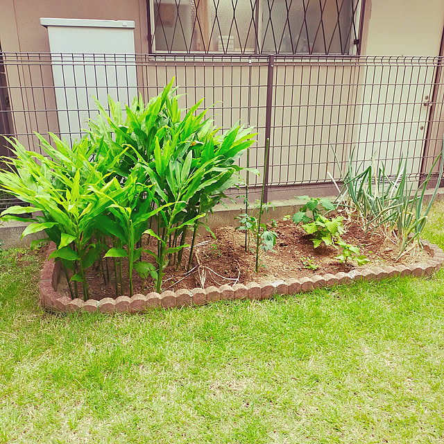 masaさんの実例写真