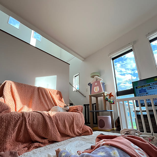 Misakiさんの実例写真