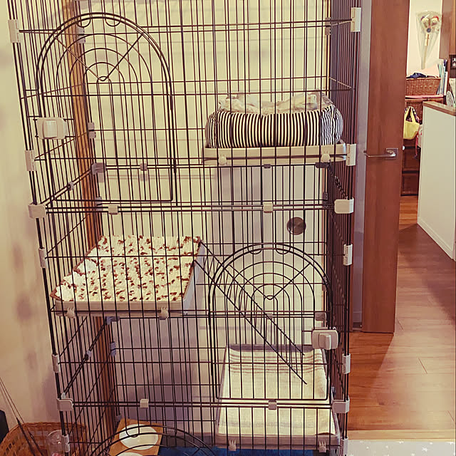 maimainさんの部屋