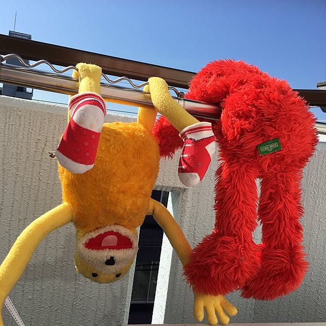 chiaaさんの実例写真
