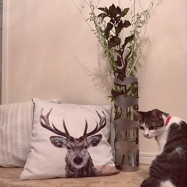 tiara0607さんの実例写真