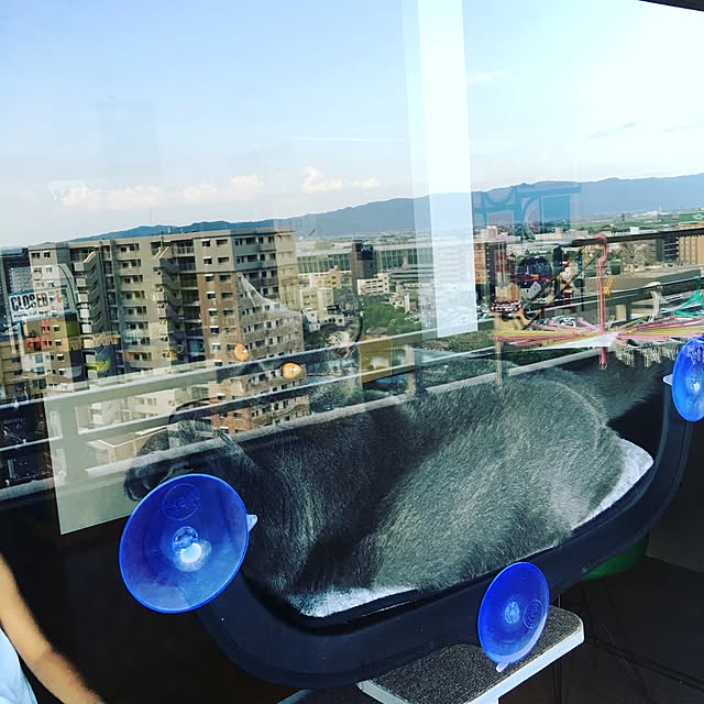 Shojiさんの実例写真