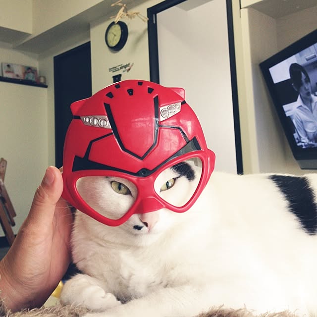 muraさんの実例写真