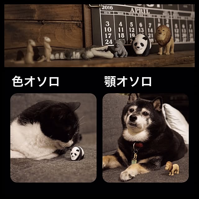 jnkaiさんの実例写真