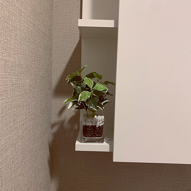 sayuuuさんの実例写真