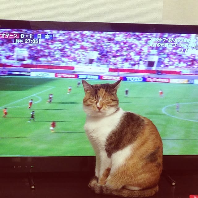 meriiさんの実例写真