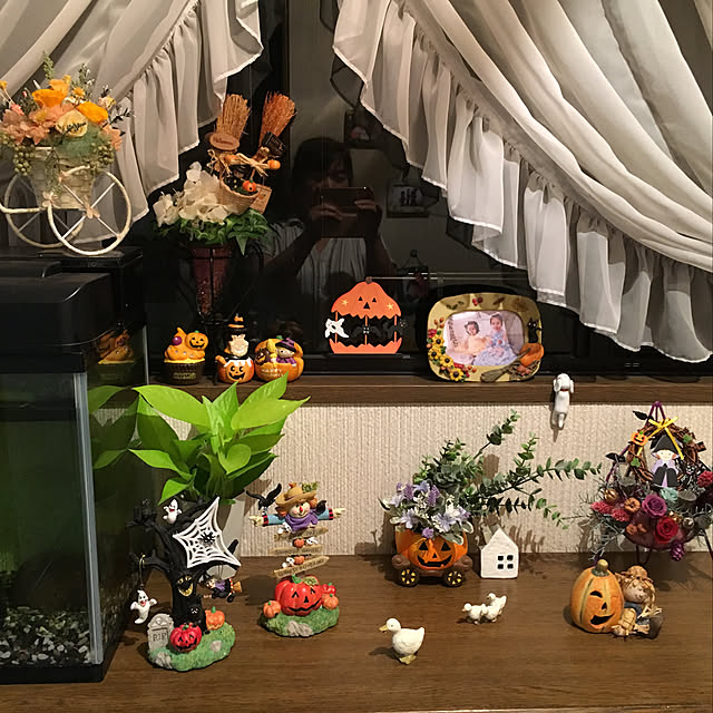 konokonoさんの実例写真