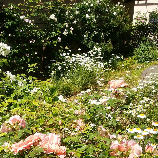 yum0408さんの実例写真
