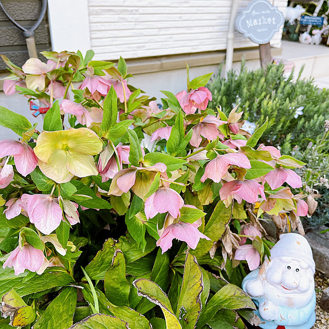 eriharuさんの実例写真