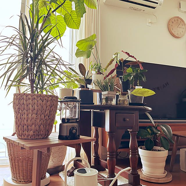 misoさんの部屋