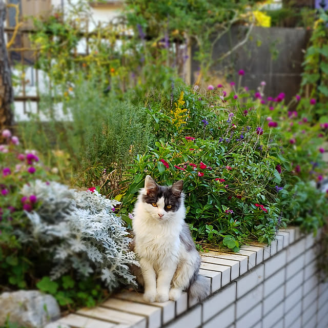 Mayumi8888さんの実例写真