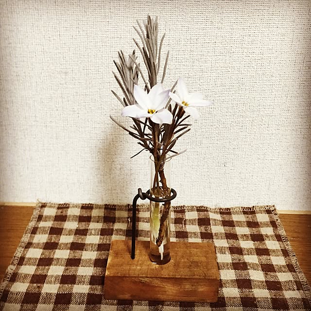 NaaaEcoさんの実例写真