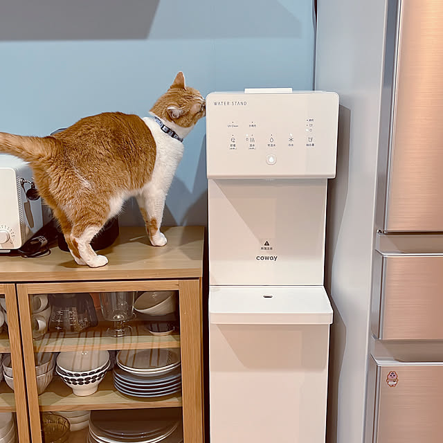 Yさんの部屋