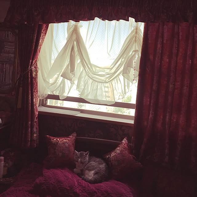 emmyyさんの実例写真