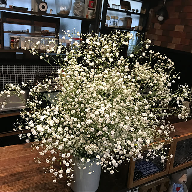 Junkoさんの実例写真