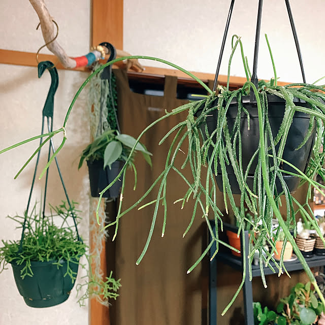 taoさんの実例写真