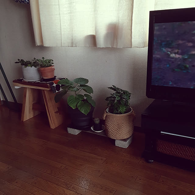ririeeさんの実例写真