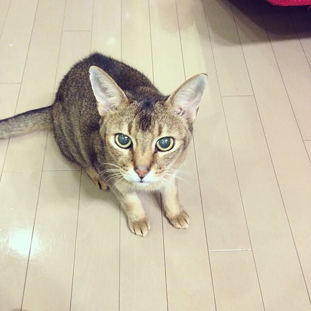 tkさんの実例写真