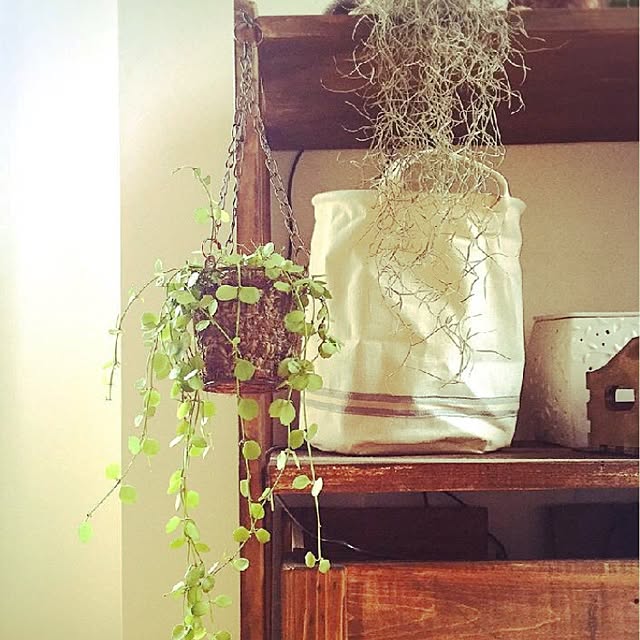Minaさんの実例写真
