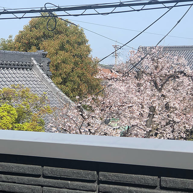 YAYOIさんの実例写真
