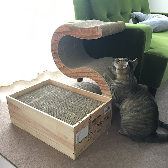 mikomaruさんの実例写真
