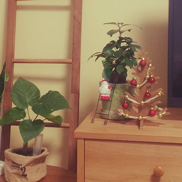 hary5296さんの実例写真