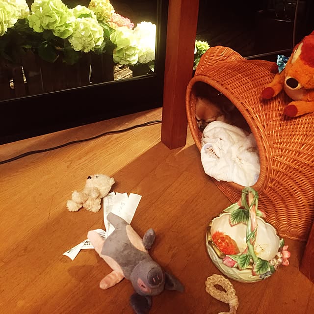 cootan195さんの実例写真