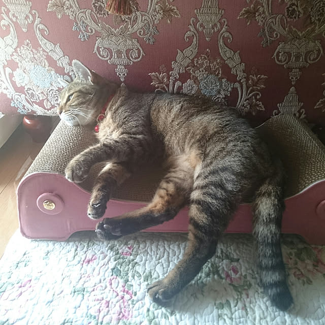 lilyさんの実例写真