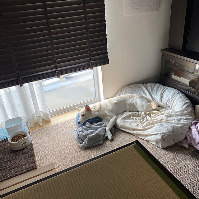 tanboさんの実例写真