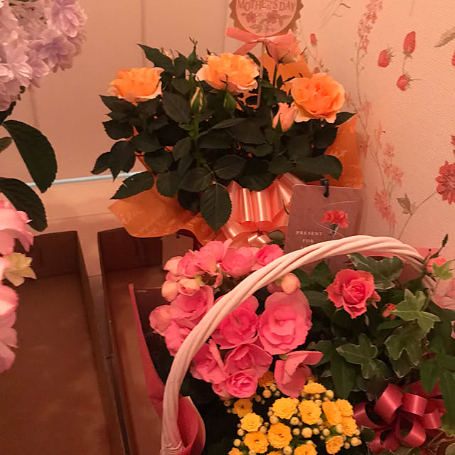 msさんの部屋