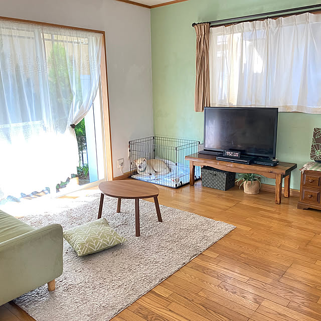 部屋全体/わんちゃんと暮らす家/リビング模様替え/カメラマーク消しのインテリア実例 - 2024-04-10 11:28:04