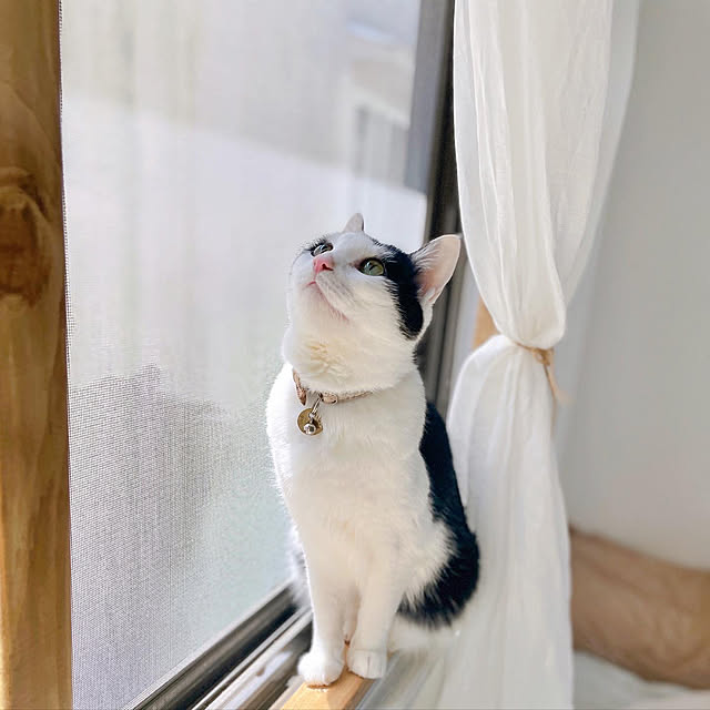 harukaさんの実例写真