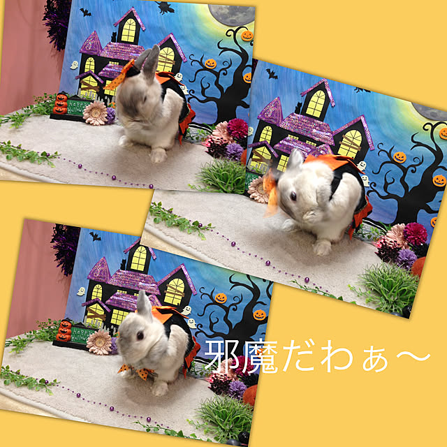 yokomokoさんの実例写真