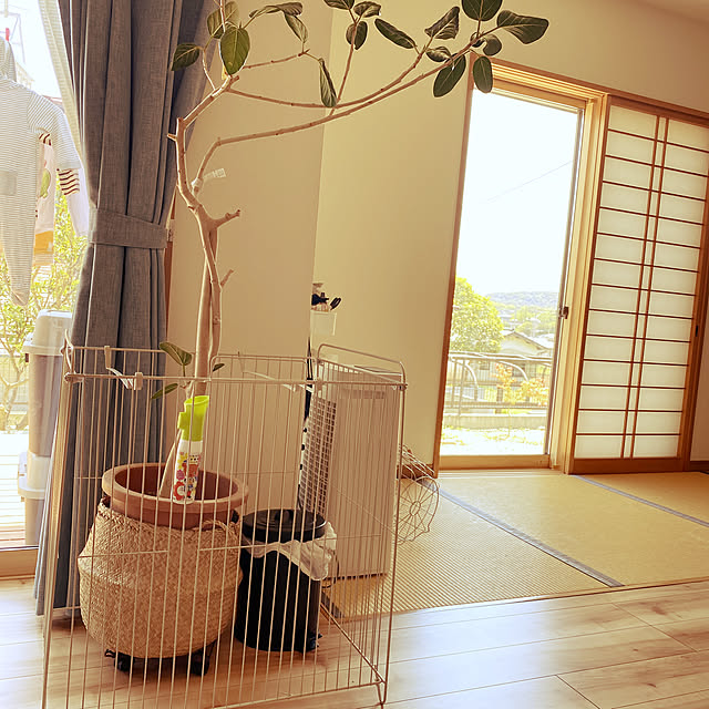 kotaroさんの実例写真