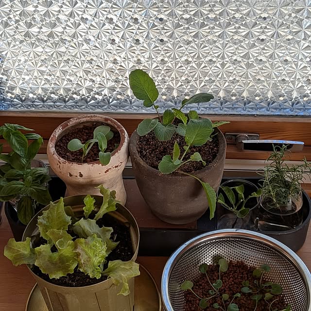 botanさんの部屋