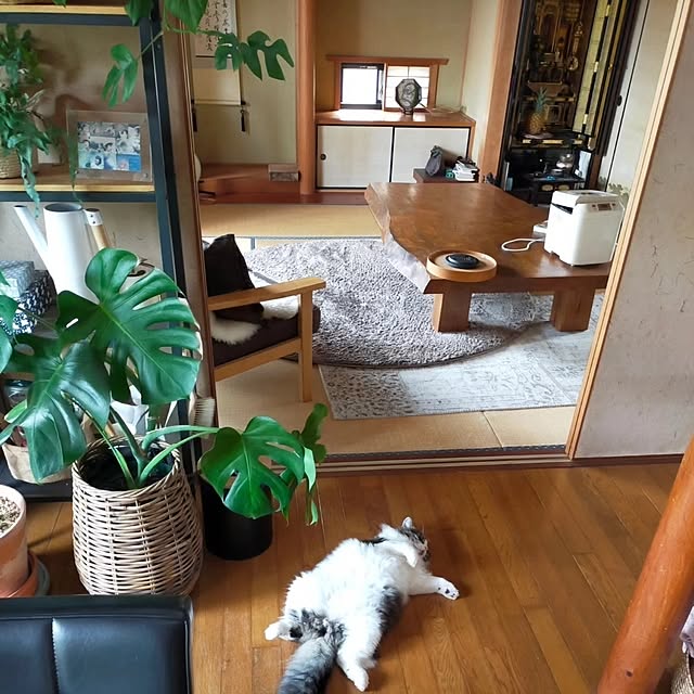 aya_meさんの部屋
