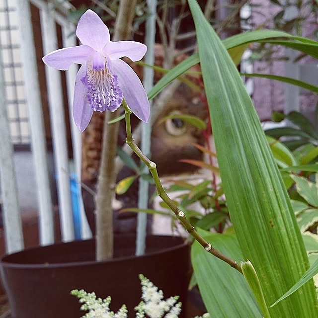 taeko0779さんの部屋