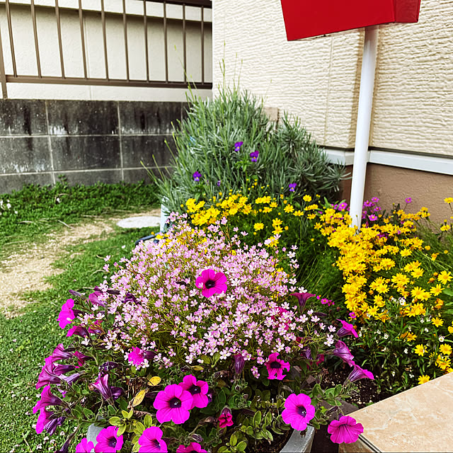 sanaさんの実例写真