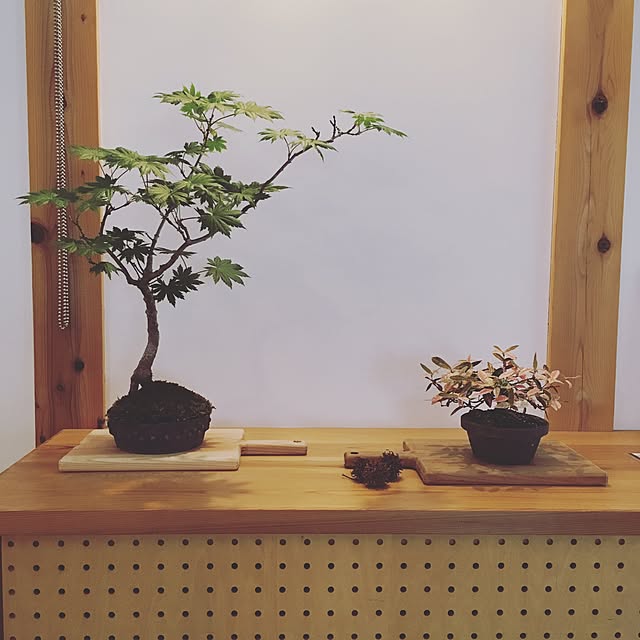 yukikoさんの実例写真