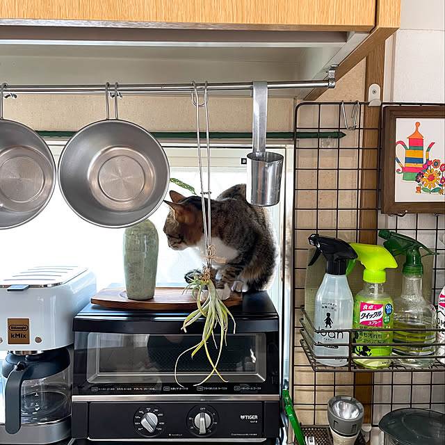 nobikoさんの実例写真