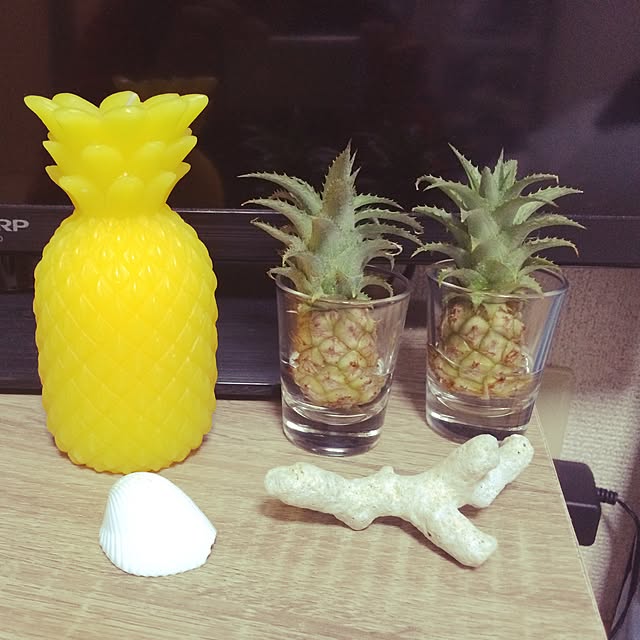 MASAさんの実例写真