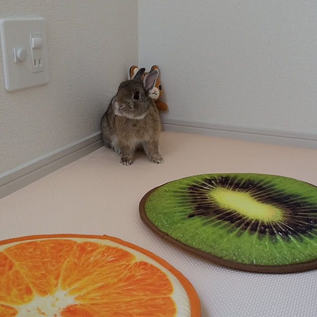 muumuuさんの実例写真