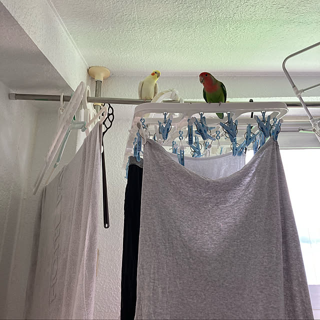 toratanさんの実例写真