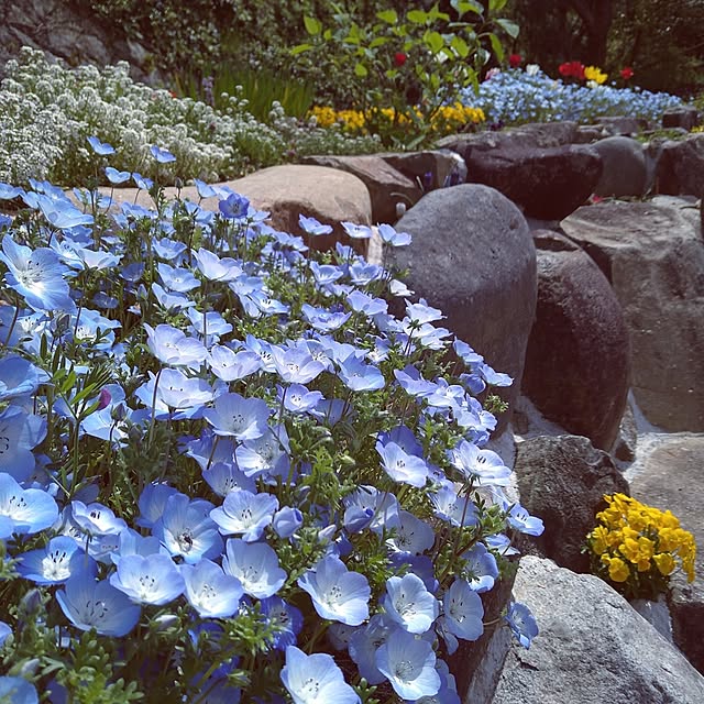 ya-さんの実例写真
