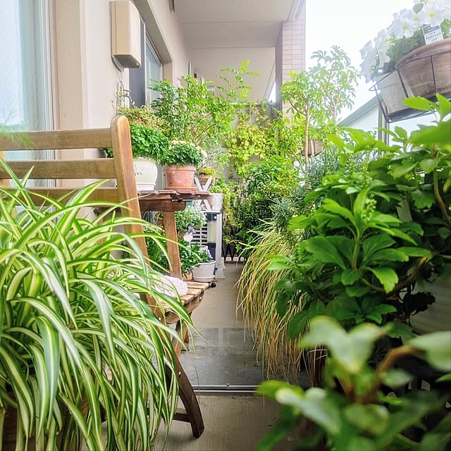 YuriYuriさんの部屋