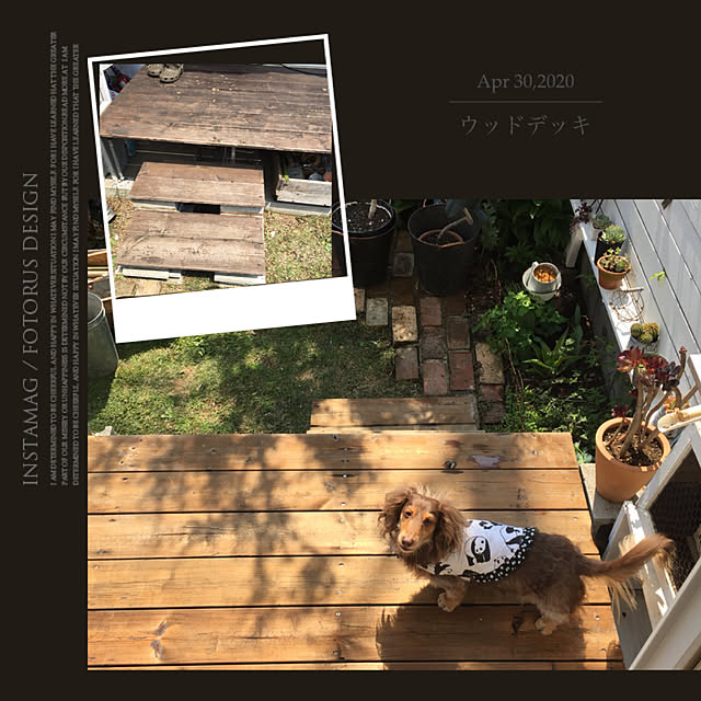 yupponさんの実例写真