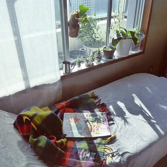 birdyさんの実例写真