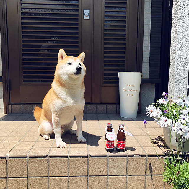 naru.miku.720さんの実例写真