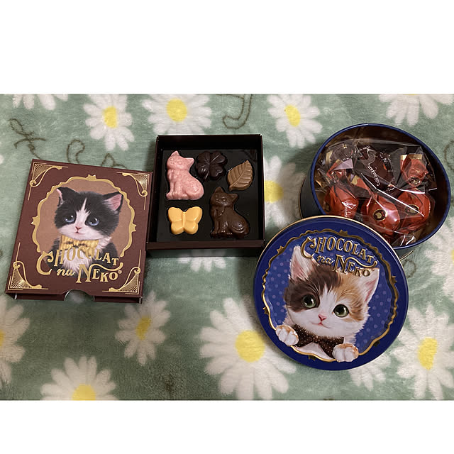 sakuramiffyさんの部屋